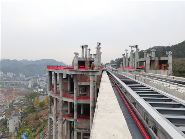 20220525115385.jpg 47.jpg