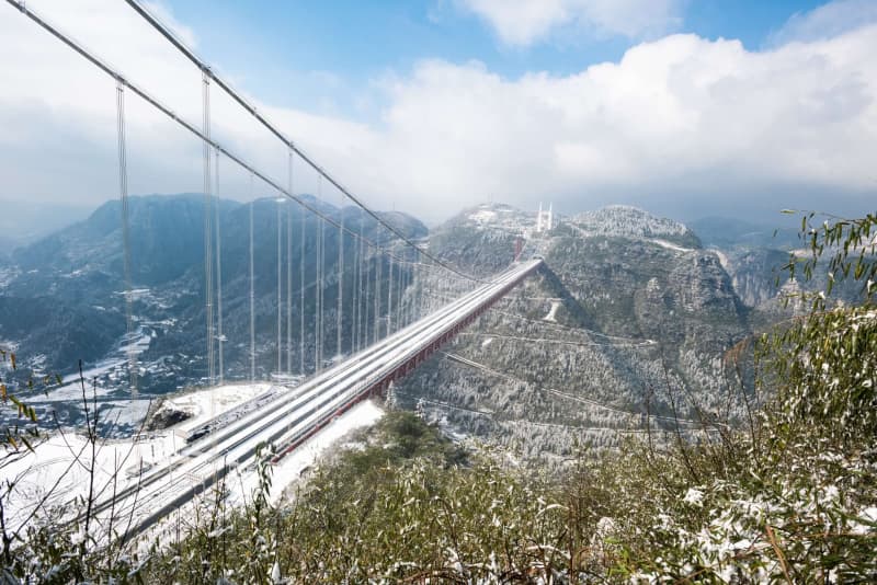 20220525130171.jpg 37.jpg