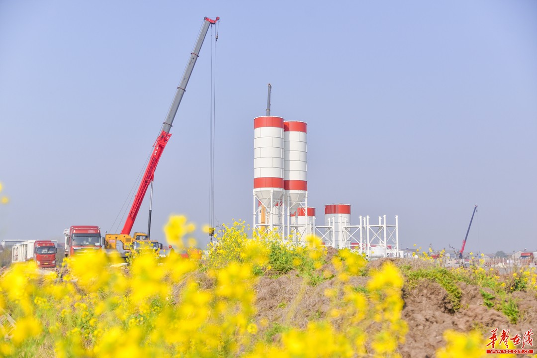 20220525940158.jpg 30.jpg